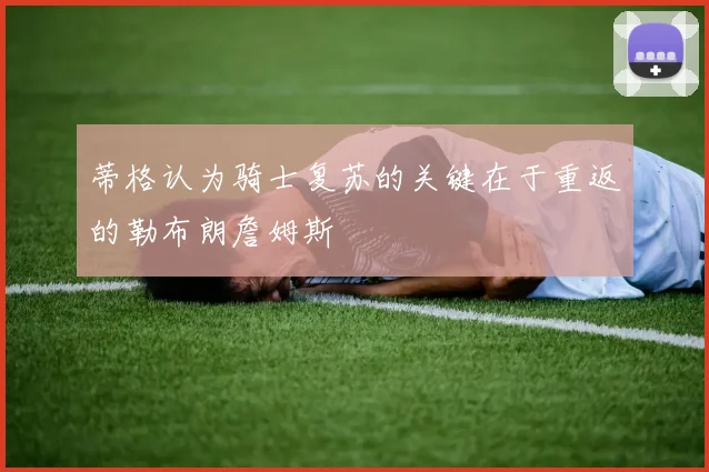 蒂格认为骑士复苏的关键在于重返的勒布朗詹姆斯