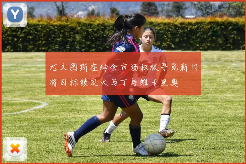 尤文图斯在转会市场积极寻觅新门将目标锁定大马丁与维卡里奥
