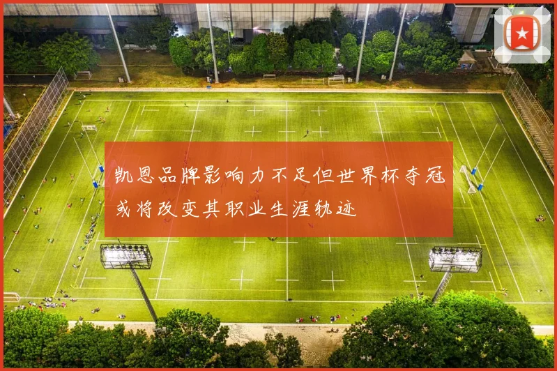 凯恩品牌影响力不足但世界杯夺冠或将改变其职业生涯轨迹